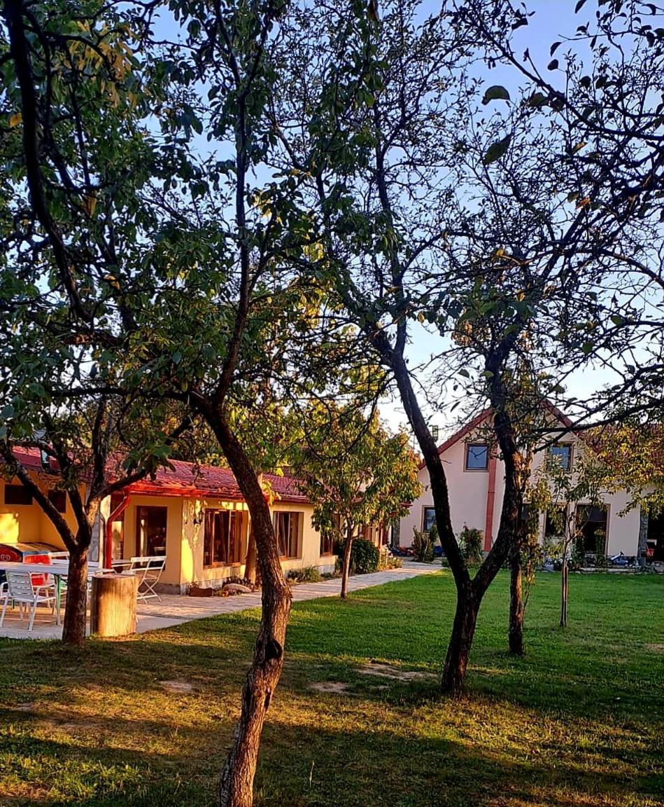 Pensiunea Casa Noastra Baia de Fier Exteriér fotografie