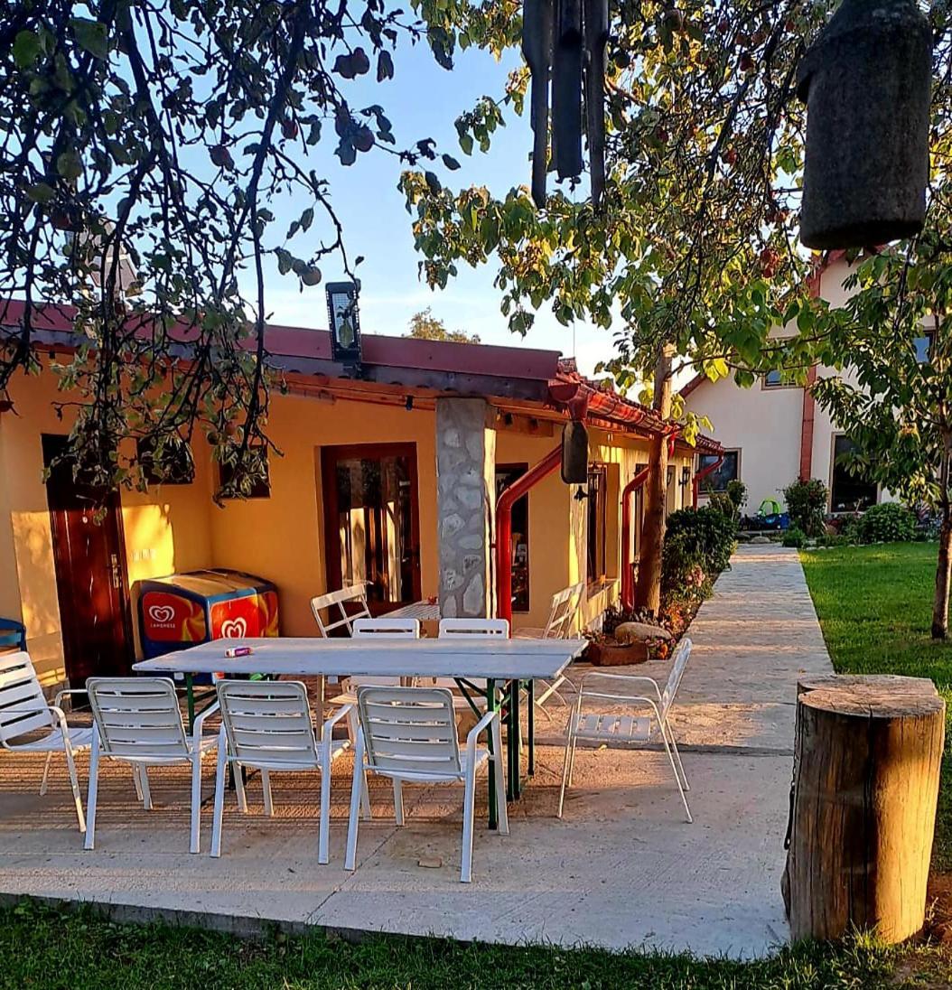 Pensiunea Casa Noastra Baia de Fier Exteriér fotografie