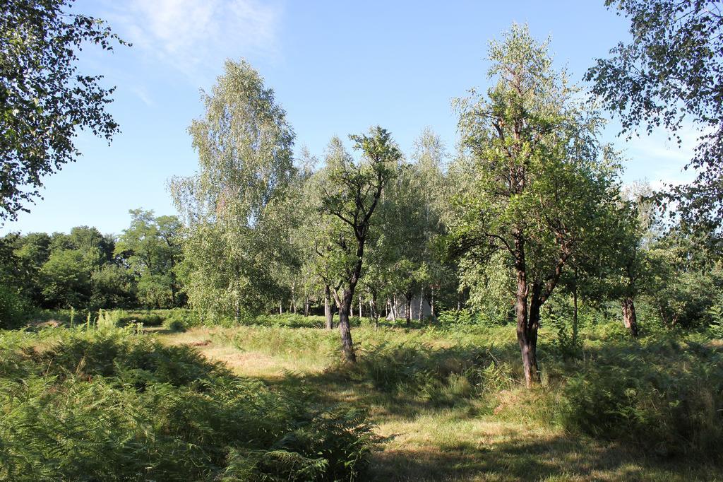 Pensiunea Casa Noastra Baia de Fier Exteriér fotografie