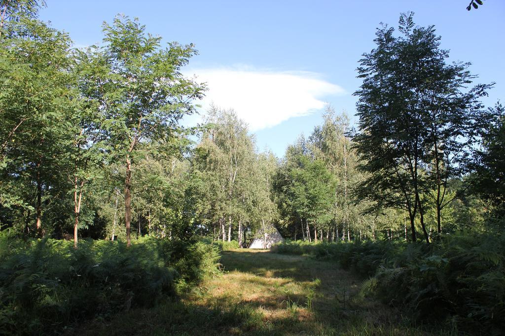 Pensiunea Casa Noastra Baia de Fier Exteriér fotografie