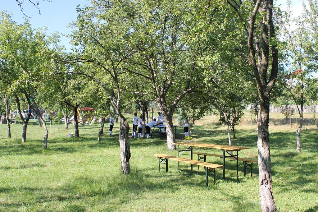 Pensiunea Casa Noastra Baia de Fier Exteriér fotografie