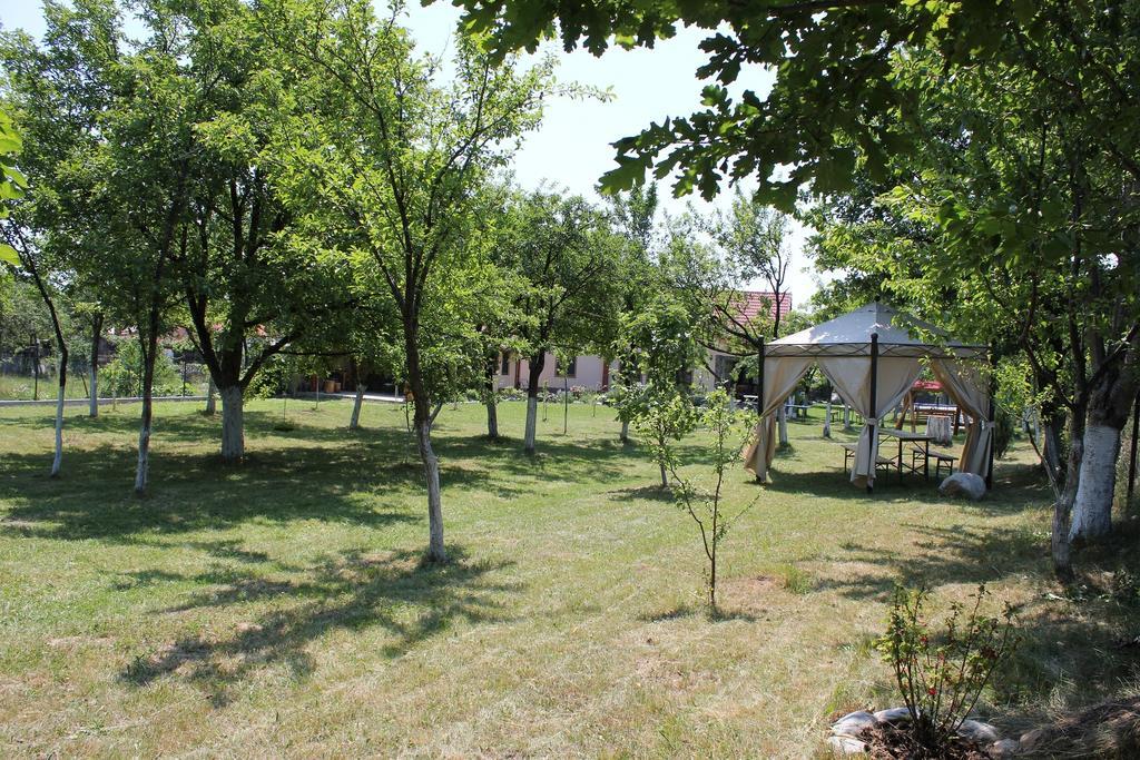 Pensiunea Casa Noastra Baia de Fier Exteriér fotografie