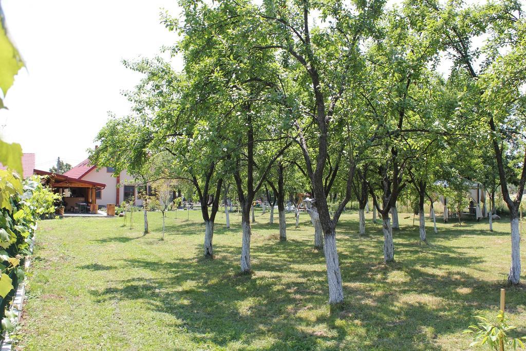 Pensiunea Casa Noastra Baia de Fier Exteriér fotografie