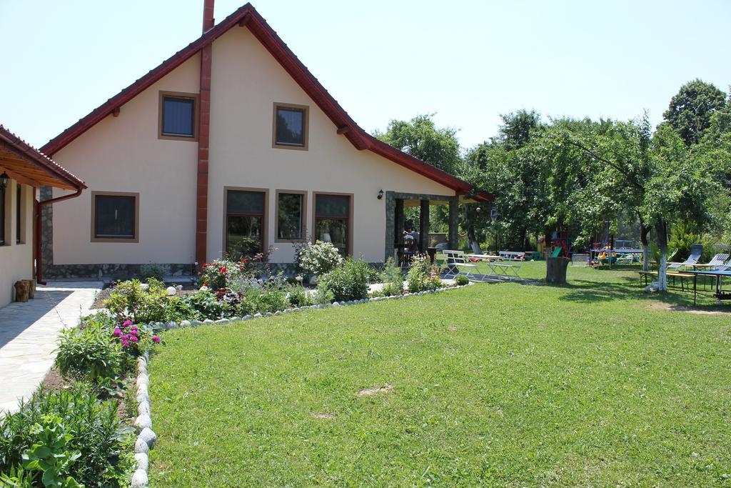 Pensiunea Casa Noastra Baia de Fier Exteriér fotografie