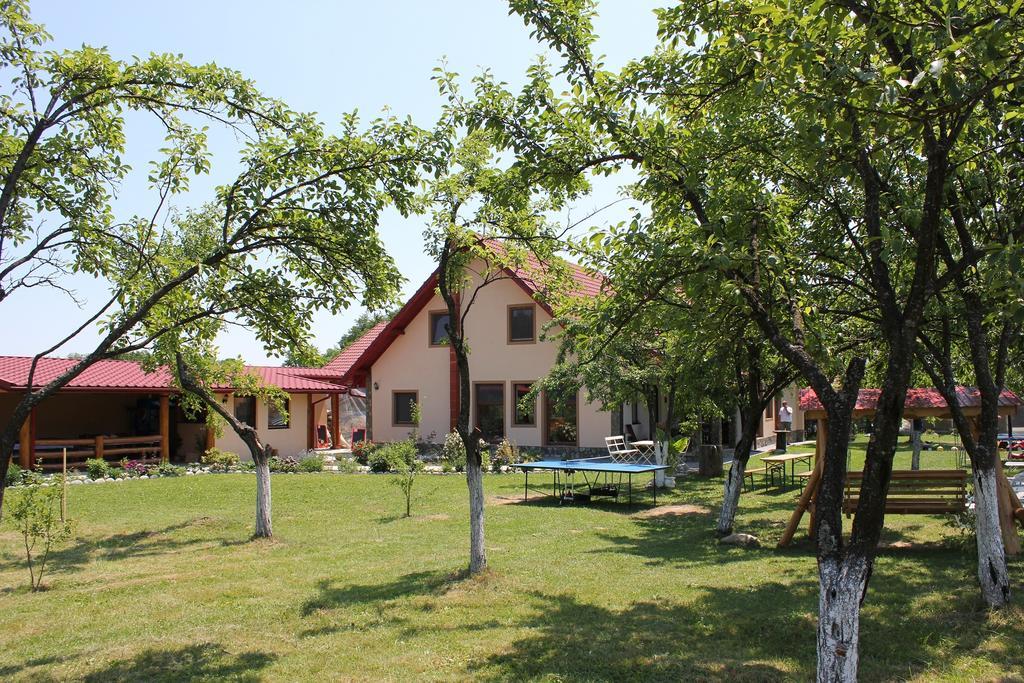 Pensiunea Casa Noastra Baia de Fier Exteriér fotografie