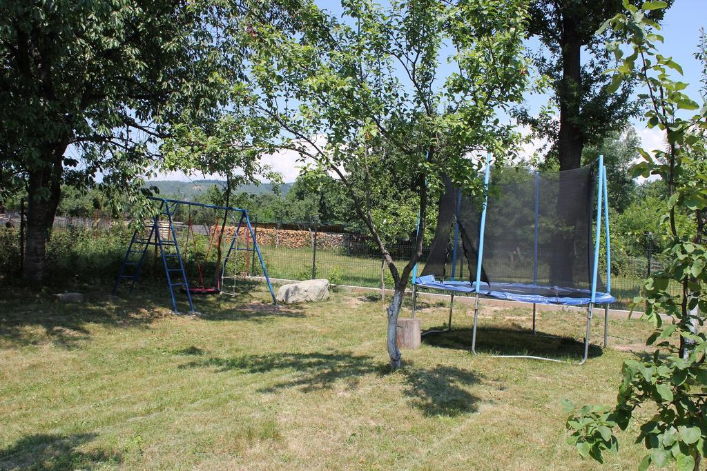 Pensiunea Casa Noastra Baia de Fier Exteriér fotografie