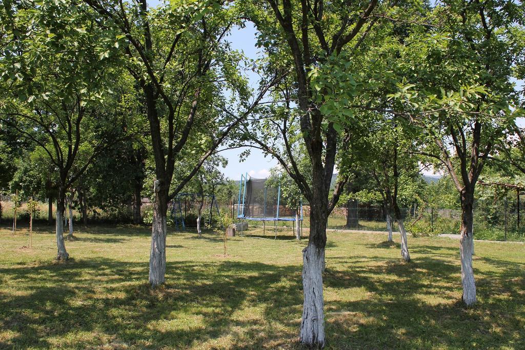 Pensiunea Casa Noastra Baia de Fier Exteriér fotografie