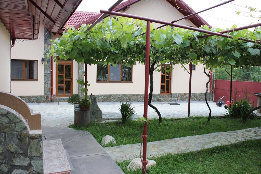 Pensiunea Casa Noastra Baia de Fier Exteriér fotografie