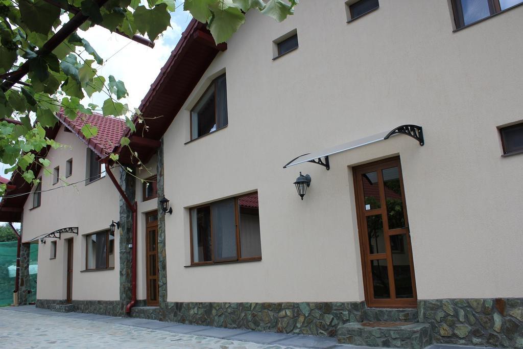Pensiunea Casa Noastra Baia de Fier Exteriér fotografie