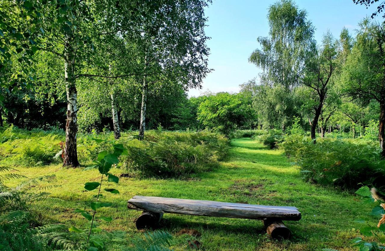 Pensiunea Casa Noastra Baia de Fier Exteriér fotografie
