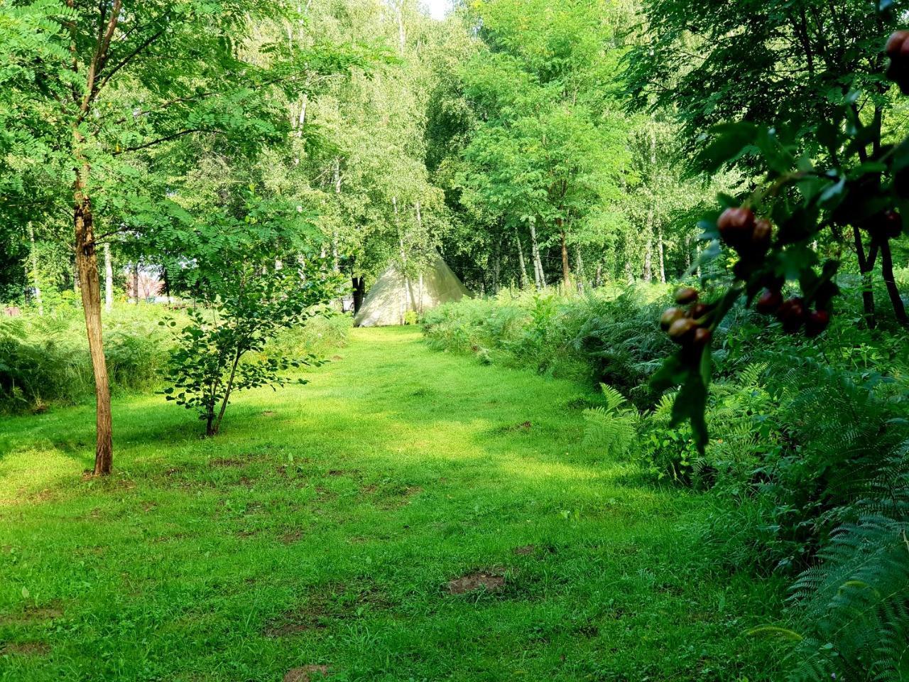 Pensiunea Casa Noastra Baia de Fier Exteriér fotografie